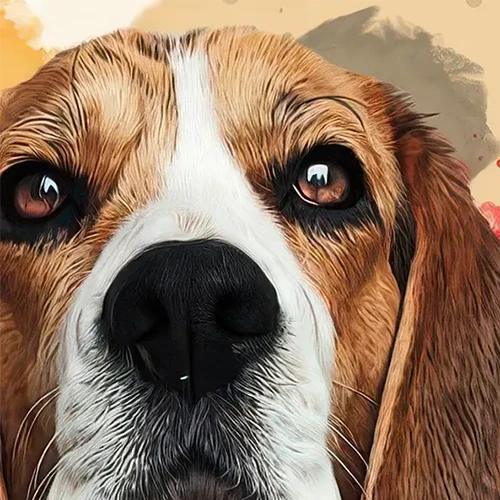 Detail / snout