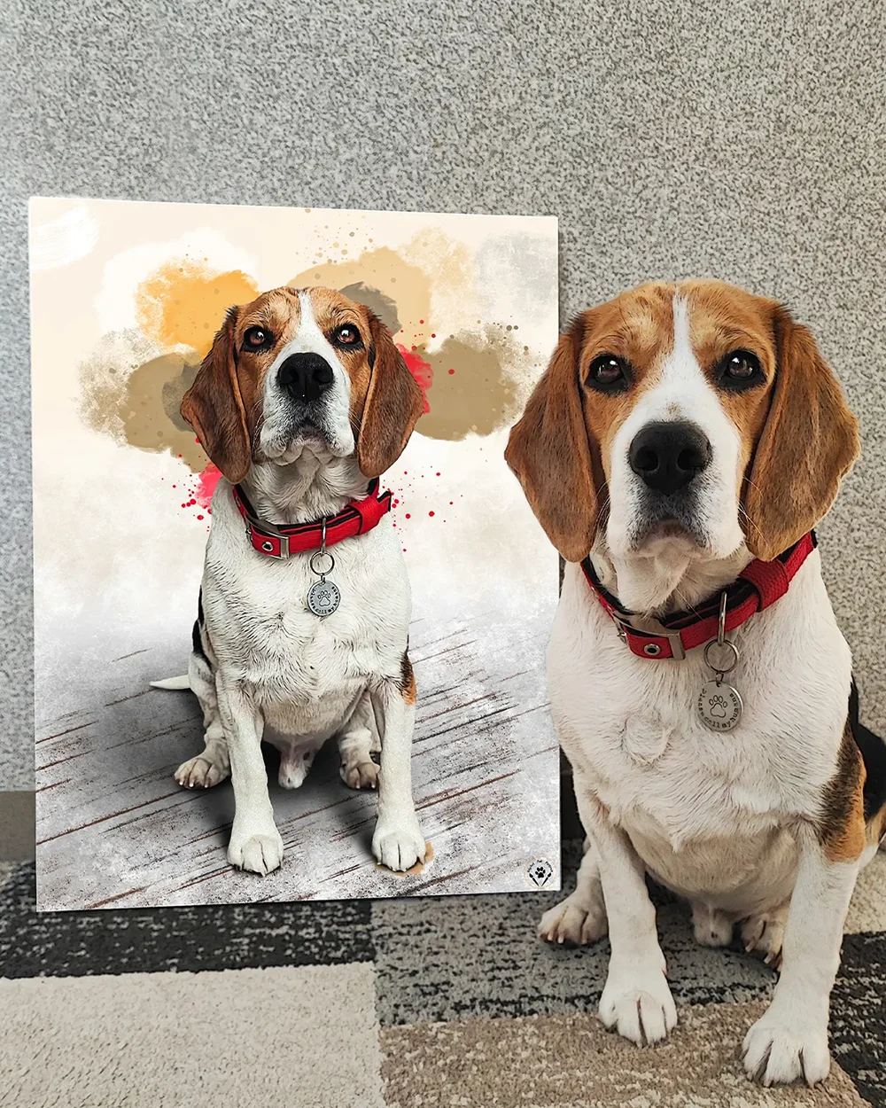 Main pet portrait